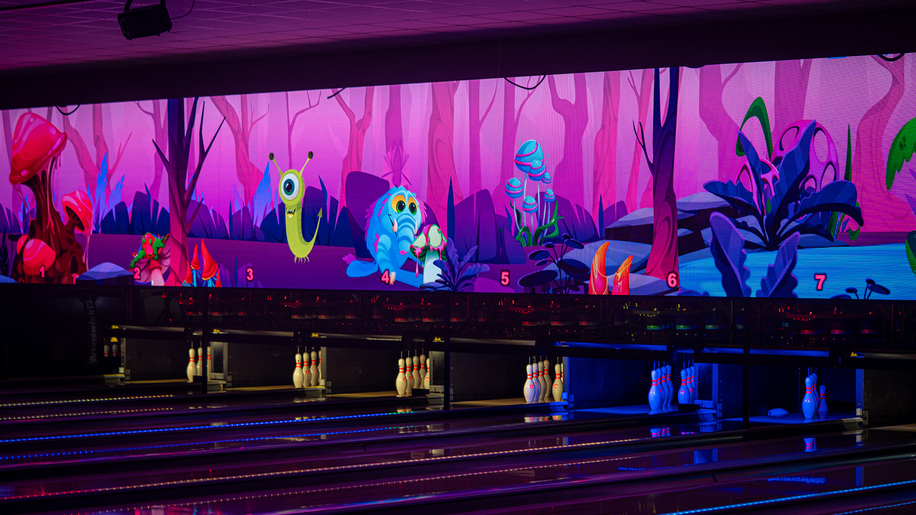DS Bowl LED Wall 25 Meter